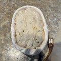 Shaners Pizza Dough